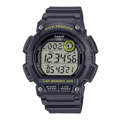CASIO GENERAL WS-2100H-8AVDF